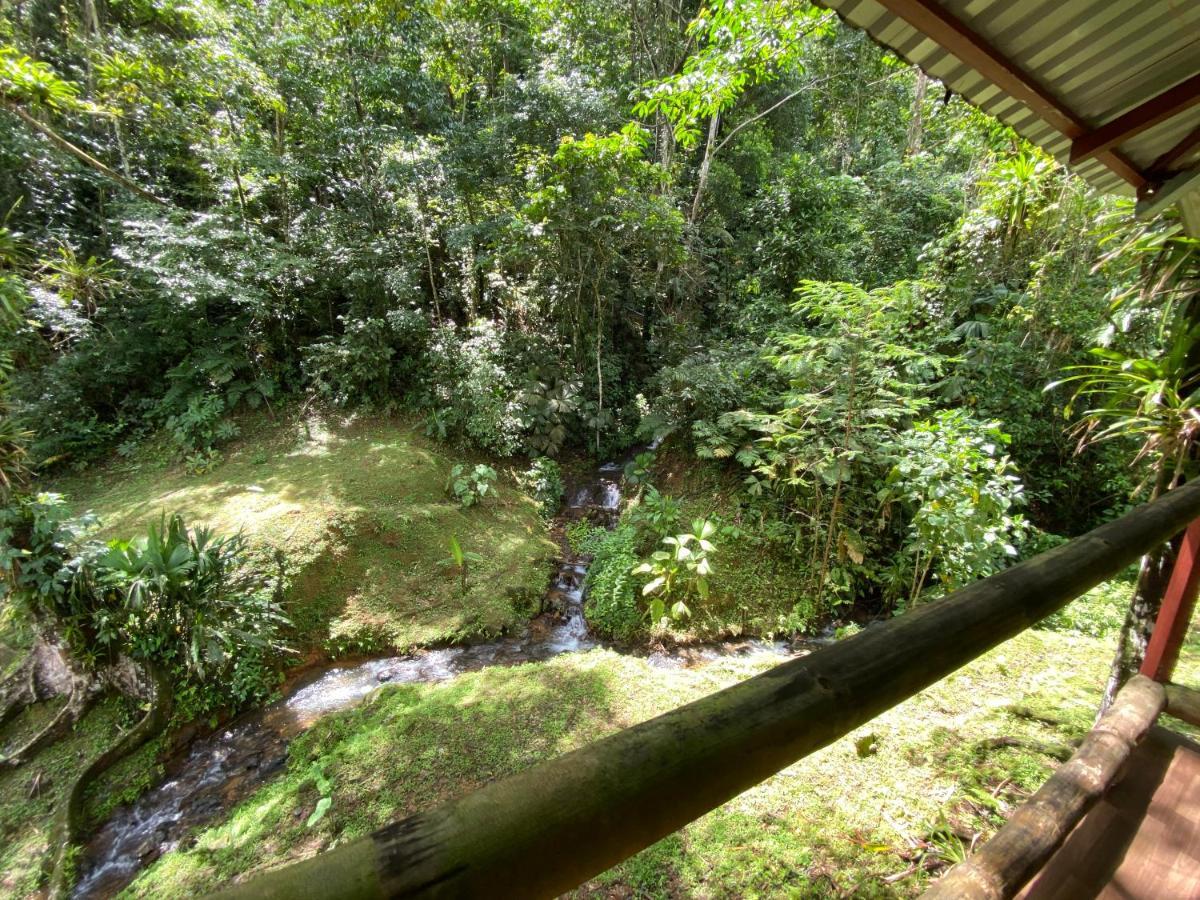 Esquipulas Rainforest Quepos Ngoại thất bức ảnh