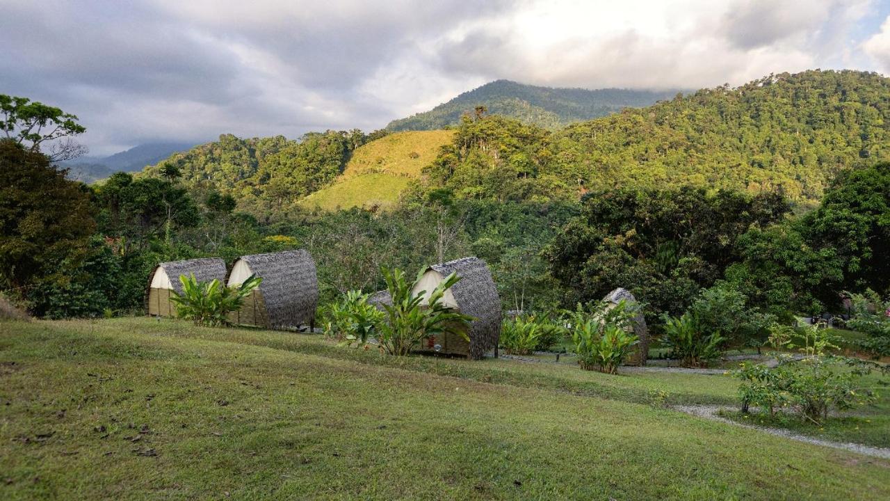 Esquipulas Rainforest Quepos Ngoại thất bức ảnh