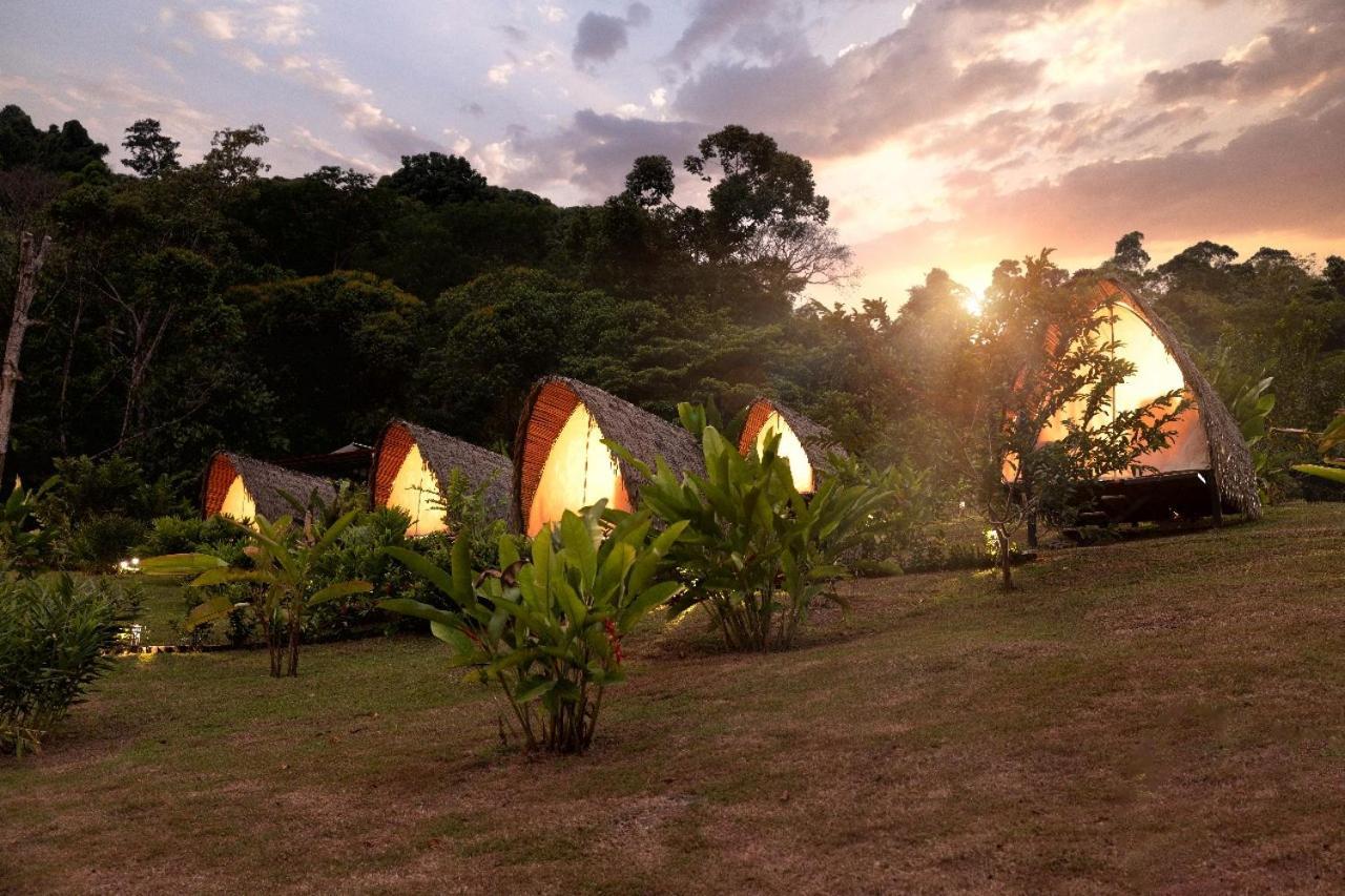 Esquipulas Rainforest Quepos Ngoại thất bức ảnh