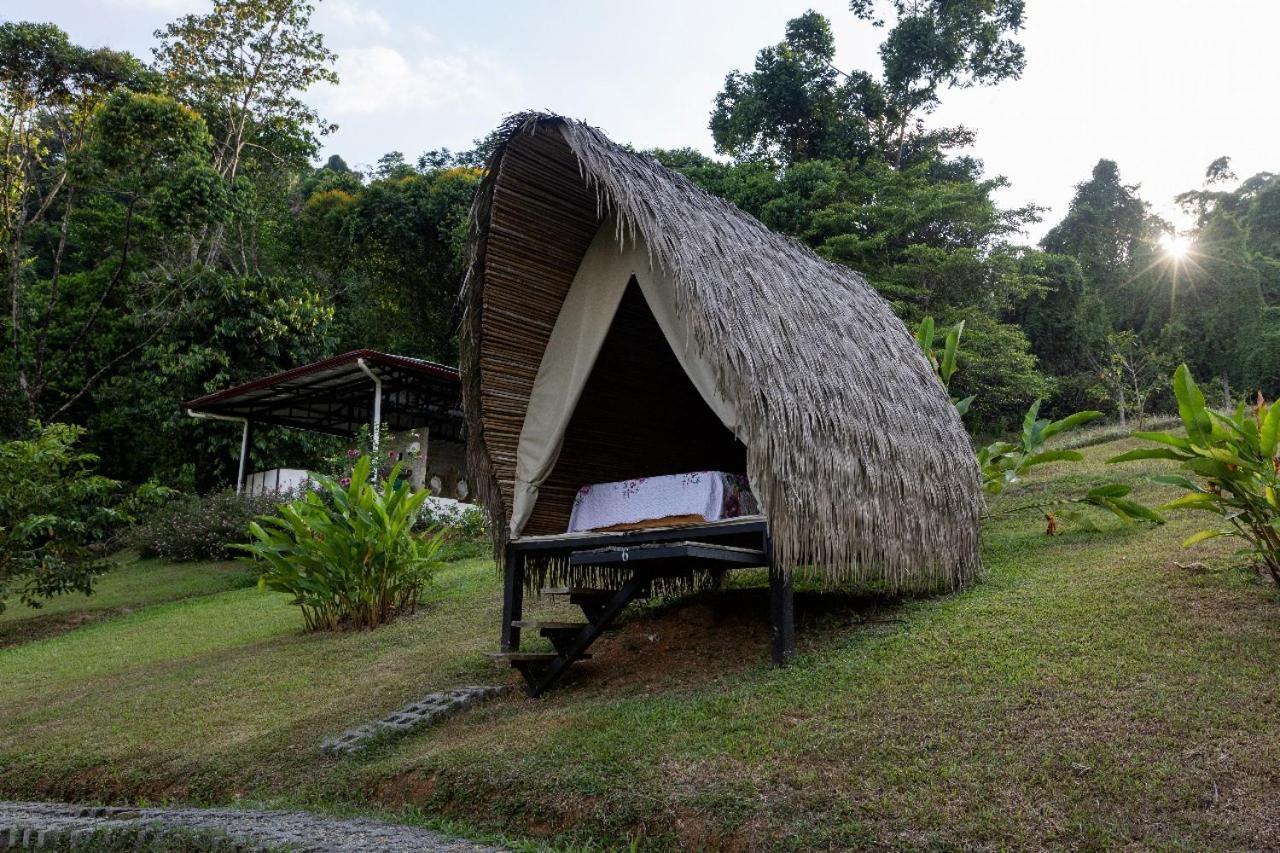 Esquipulas Rainforest Quepos Ngoại thất bức ảnh