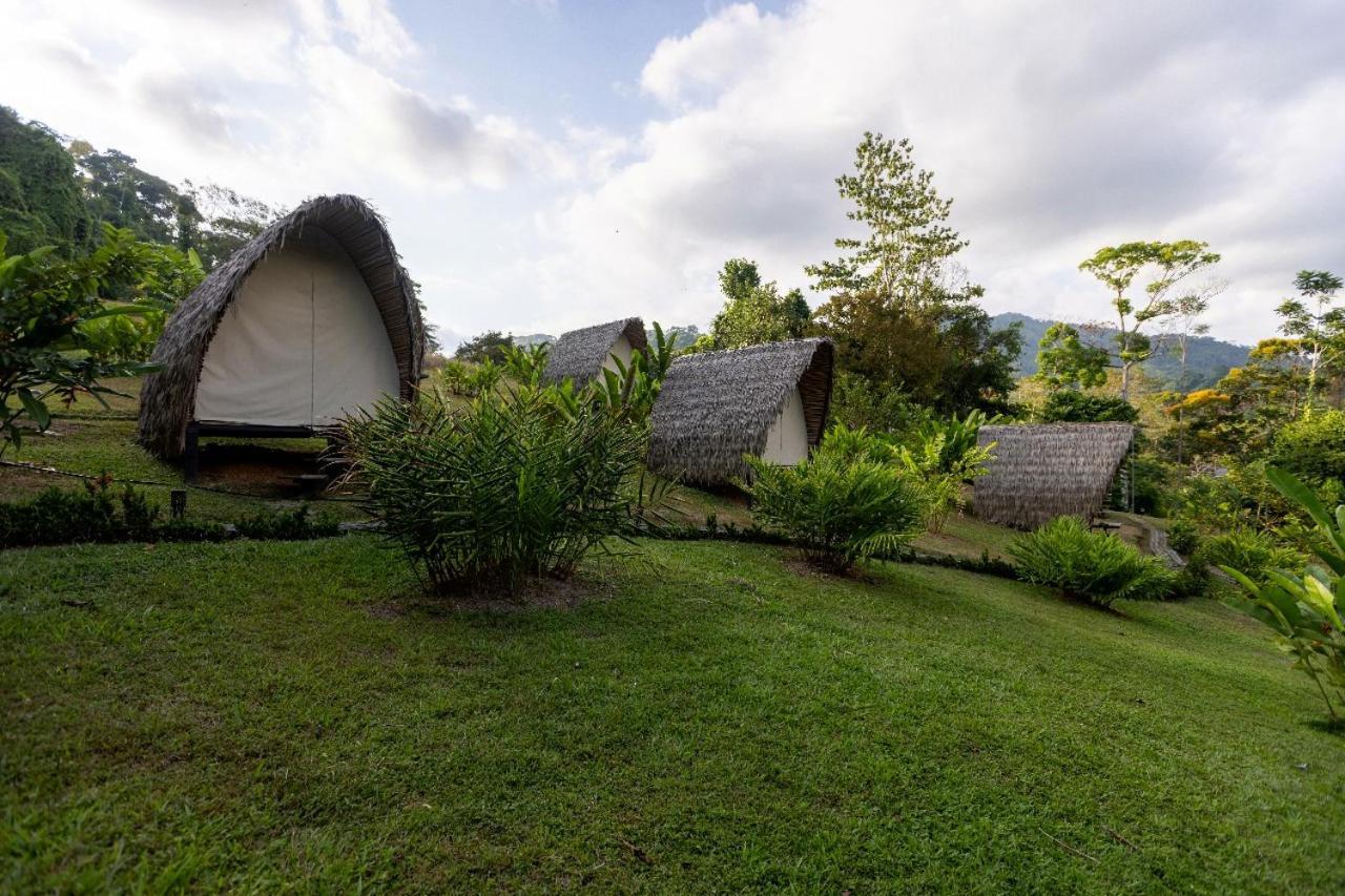 Esquipulas Rainforest Quepos Ngoại thất bức ảnh